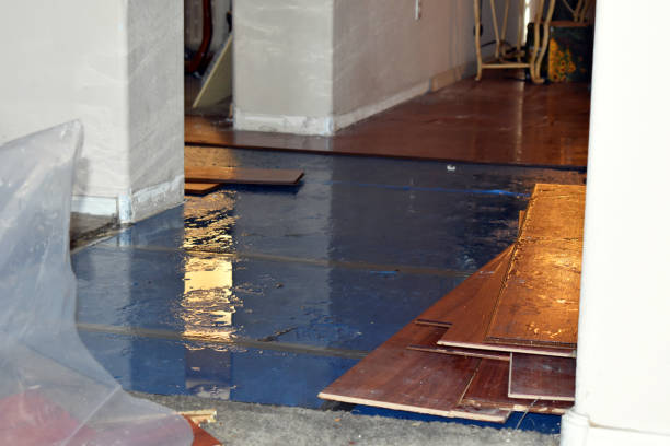 Professional Water Damage Restoration technician working in Dowling, MI